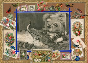 Stránka ze Sammelsurium, svazek XI (tištěný materiál) od European School