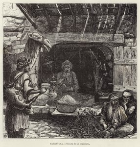 Palestina, obchod s potravinami od European School