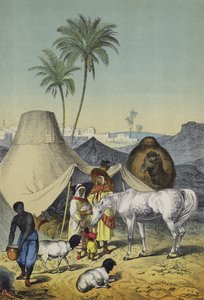Lidé, zvířata a rostliny severní Afriky a Arábie (barva litho) od European School