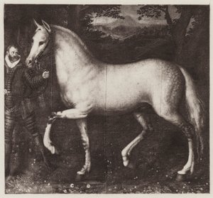Kůň královny Alžběty (litho) od European School