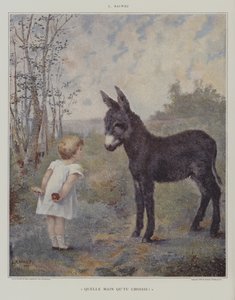 Jakou ruku si vyberete? (Kterou ruku si vyberete?) (barva lito) od European School