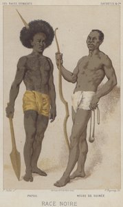 Černá rasa, Papuánci, Černí z Guineje (chromolitho) od European School