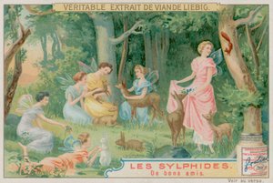 Sylfy a lesní zvířata od European School