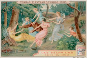 Sylfy a vetřelec od European School