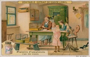 Amatérský milovník ptáků od European School