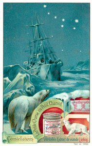 Ursa Minor (chromolitho) od European School