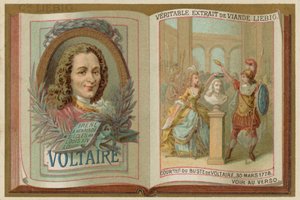 Voltaire od European School