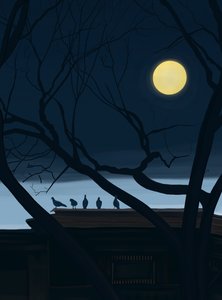 Pět holubů na střeše (digitální umění) od Evan Sklar