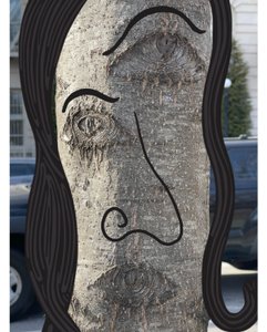 Ilustrace obličeje stromu pomocí fotografie a kresby Brooklyn (digitální umění) od Evan Sklar