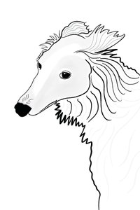 Kresba Silken Windhound (digitální umění) od Evan Sklar