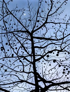 Londýn PlaneTree a Měsíc, Brooklyn (digitální umění) od Evan Sklar