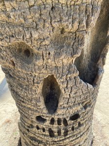 Strom lebek, 2025 (digitální umění)