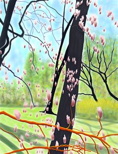 Tulipánový strom od Evan Sklar