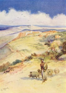  od Evelyn Stuart Hardy