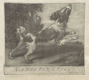 skákající pes Canis Venaticus (titul na předmětu) od Evert van Sweinen