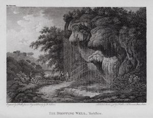 The Dropping Well, Yorkshire (rytina) od F. (after) Nicholson