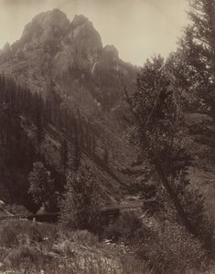 Bez názvu, c. 1884.