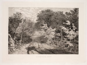 Les Borrevejle od F. Larsen