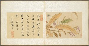 Album Miscellaneous Subjects, Leaf 7, 1600s.