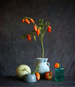 Rustikální zátiší s oranžovými rajčaty