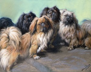 Spoiled Darlings (barevná křída)
