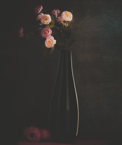  od Farid Kazamil
