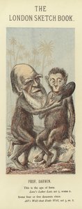 Karikatura Charlese Darwina