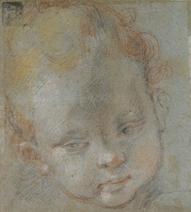 Hlava dítěte, konec 16. století od Federico Barocci