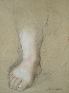 Studie nohy, konec 16. století od Federico Barocci