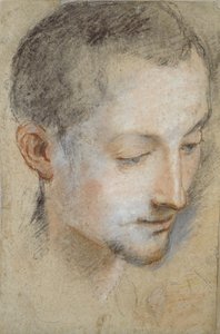 Studie hlavy mladého muže, konec 16. století od Federico Barocci