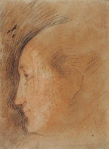 Ženská hlava v profilu vlevo od Federico Barocci