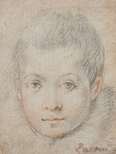 Hlava chlapce od Federico Zuccaro