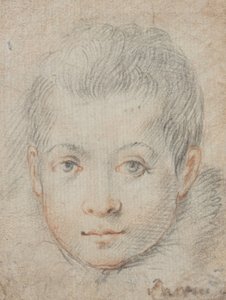  od Federico Zuccaro