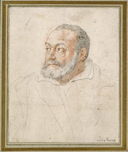 Portrét muže (červená křída a černé olovo na papíře) od Federico Zuccaro