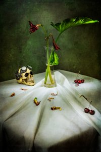 Gothic Skull Vanitas od Felice Angelino