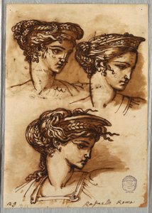 Tři studie hlavy s diadémem a pletenými vlasy podle Raphaela od Felice Giani