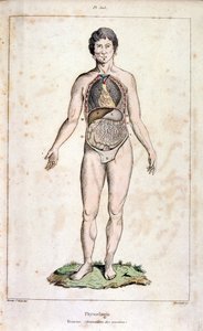Anatomická ilustrace F. E. Guerina. Z Dictionnaire pittoresque d