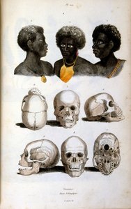 Antropologická ilustrace zobrazující etiopskou rasu od Felix-Edouard Guerin