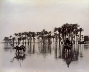 Muži na velbloudech při přechodu egyptské pouštní oblasti zaplavené Nilem, Egypt od Félix Bonfils