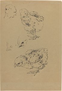 Kuřátka od Felix Bracquemond