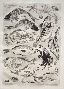 Večeře (servis Rousseau): Ryba (č. 24) od Felix Bracquemond