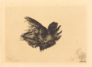Hlava kohouta od Felix Bracquemond