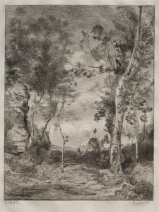 Krajina neboli Bílý kůň po Corotovi od Felix Bracquemond