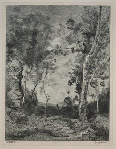 Krajina neboli Bílý kůň po Corotovi od Felix Bracquemond
