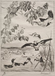 Čejky a čírky, 1862. od Felix Bracquemond