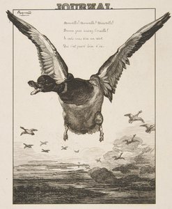 Kachna, 1856. od Felix Bracquemond