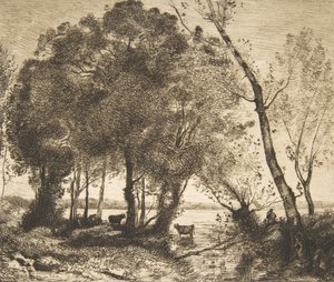 Jezero, 1861. od Felix Bracquemond