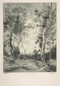 Bílý kůň, 1858. od Felix Bracquemond