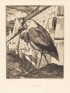 Les Cigognes (Čápi) od Felix Bracquemond