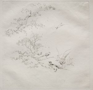 Pařížská služba (služba Haviland) od Felix Bracquemond